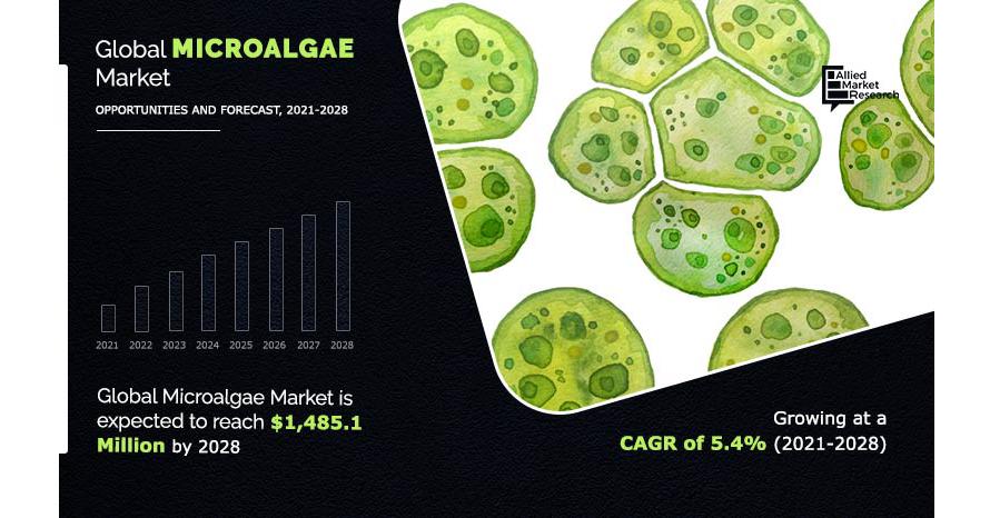   Microalgae Market Expected to Reach $1,485.1 Million by 2028-Allied Market Research  