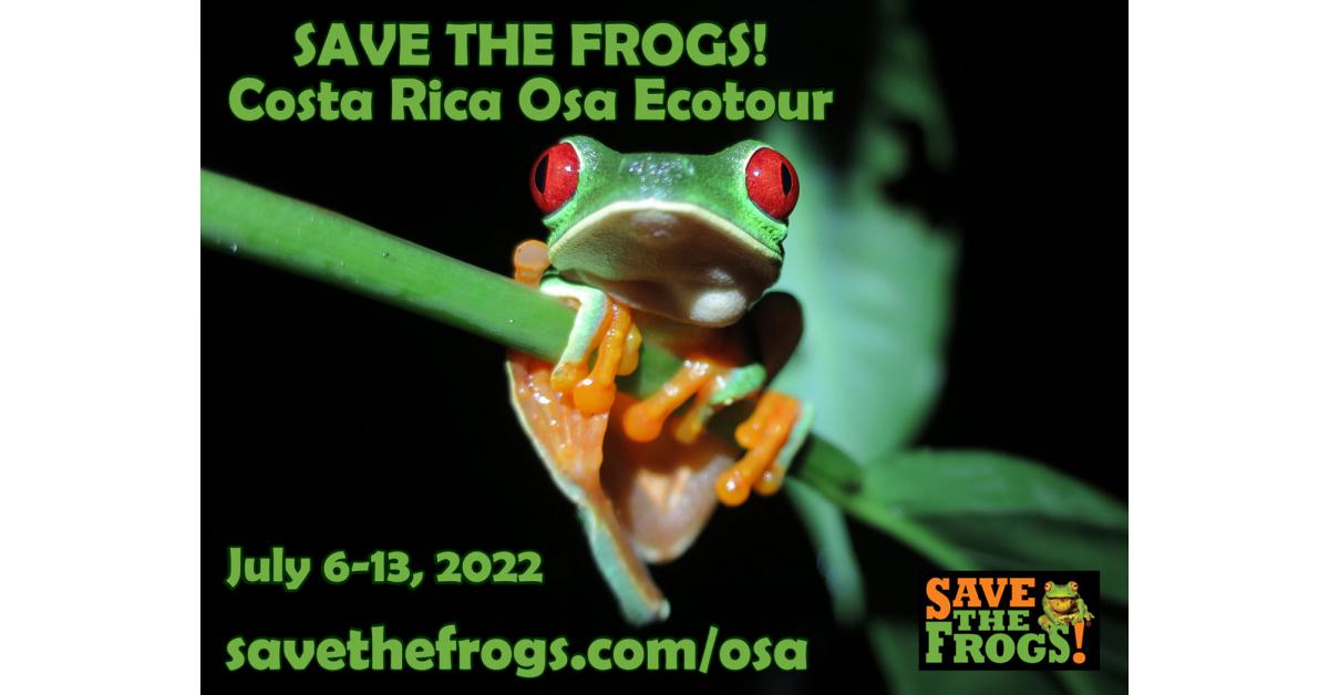The SAVE THE FROGS! Costa Rica Ecotour For Intrepid Travelers