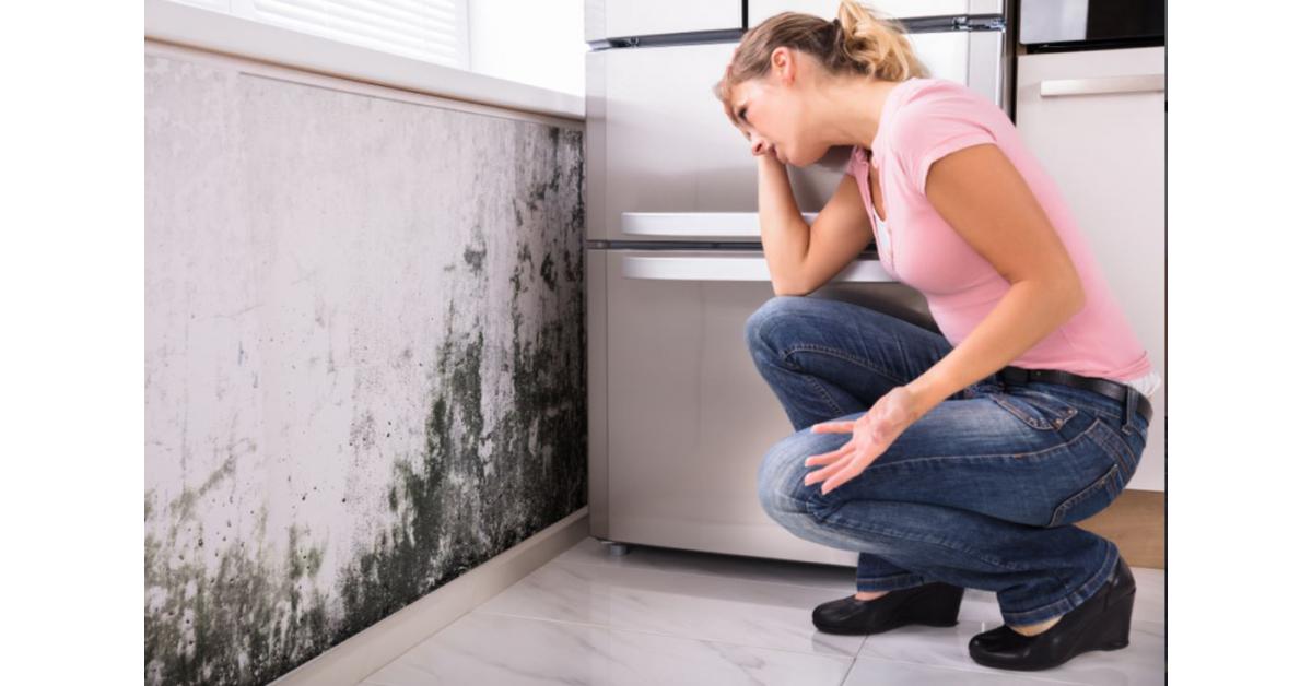 The Hidden Dangers of Mould in the Home