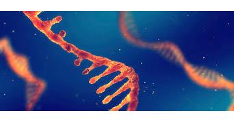 RNA Isothermal Amplification Technology Market Growth, Developments Analysis and Precise Outlook 2022 to 2028