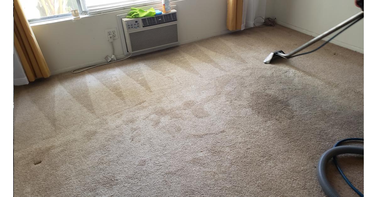 A Guide to Professional Steam Cleaning for Carpet, Tile, Area Rugs, and
