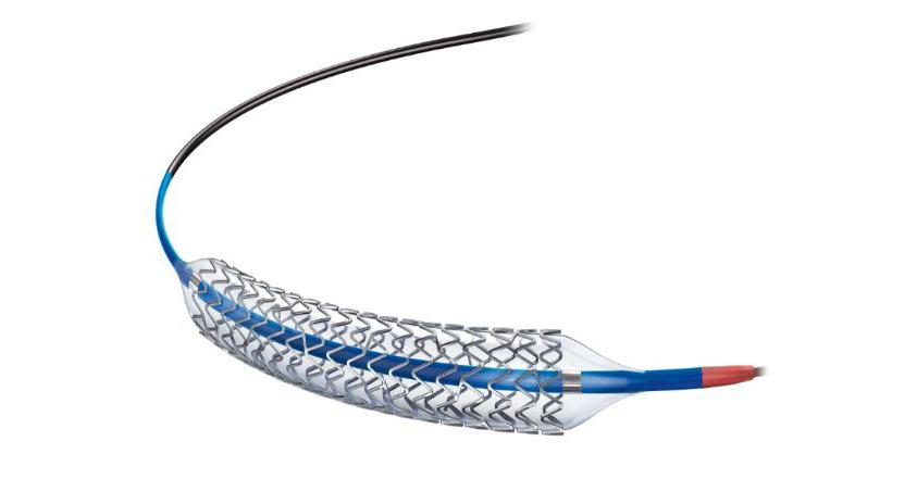 Coronary Stents Market is Expected to Surpass US$ 16,109.2 million by ...