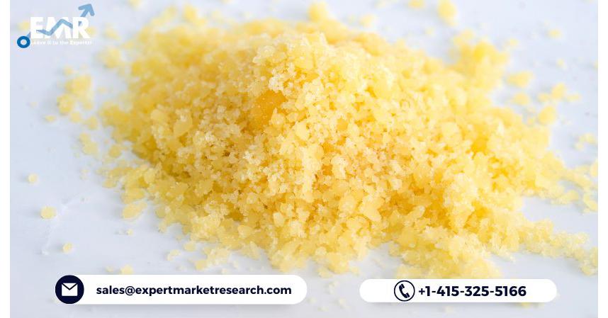 cheese powder market Cheese Powder Market Measurement, Share, Worth, Progress, Evaluation, Outlook, Report,
