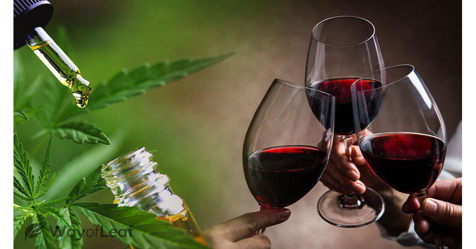   CBD Wine Market will gain momemtum $112.5 Million by 2031 | Aurora Cannabis, Inc., Bodegas Santa Margarita, Callmewine  