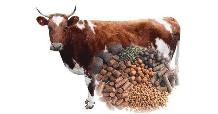  Cattle Feed Market Growing At a CAGR of 7.2% From 2021 to 2027 | Asia-Pacific & Europe are the Most Prominent Regions  