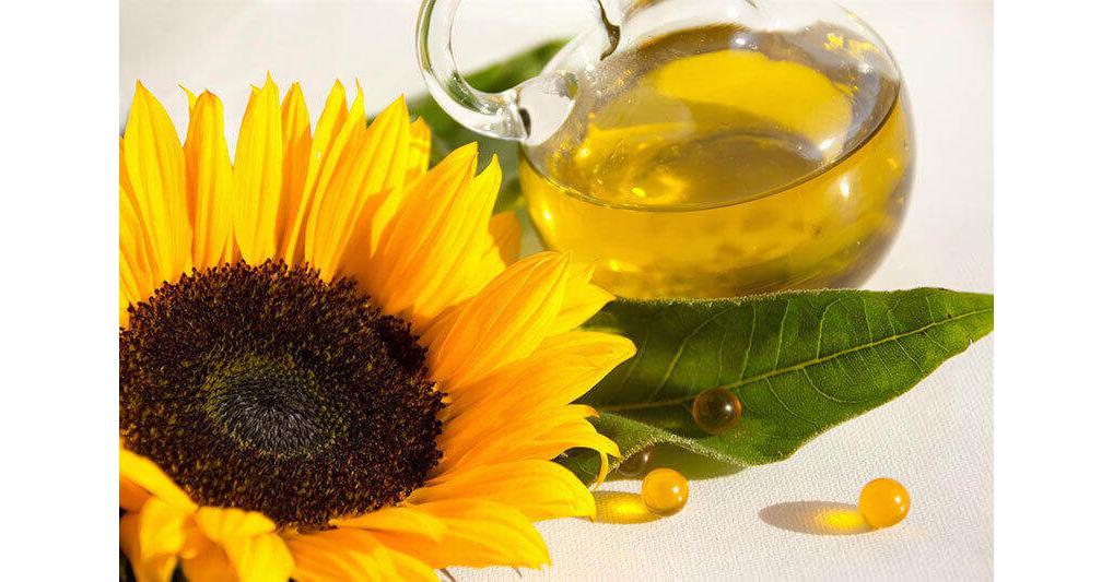 Sunflower Lecithin Market to Witness Huge Growth by 2029 | Lipoid ...