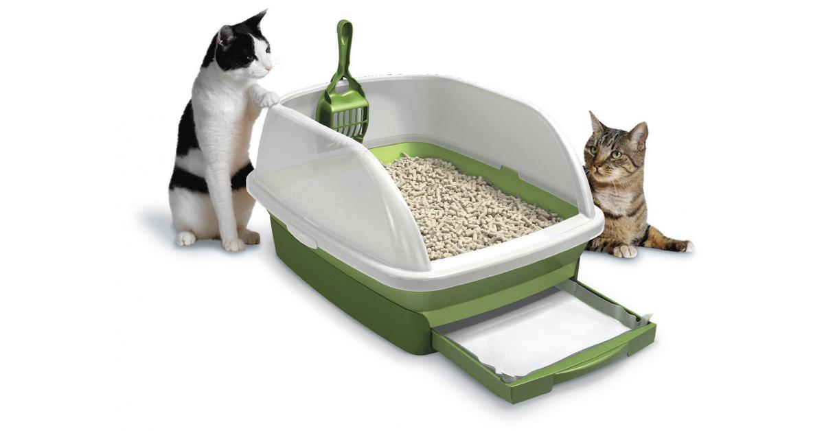 Cat Litter Market Sales Revenue Analysis 2023-2030, Industry Size ...