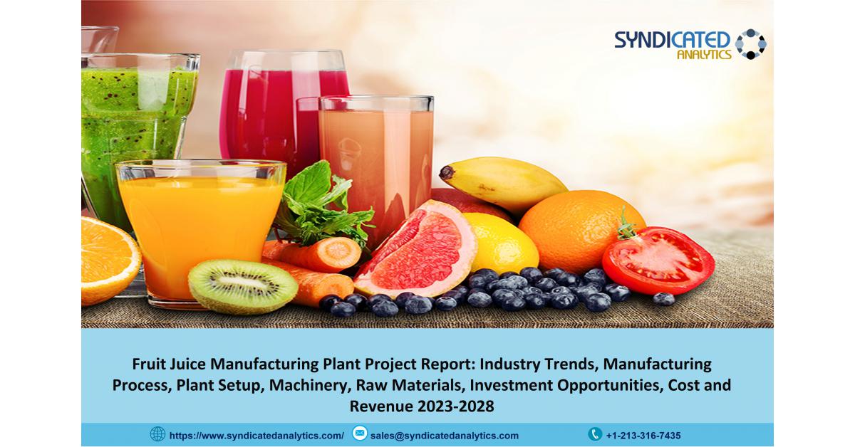 Comprehensive Approach to Setting Up a Fruit Juice Manufacturing Plant