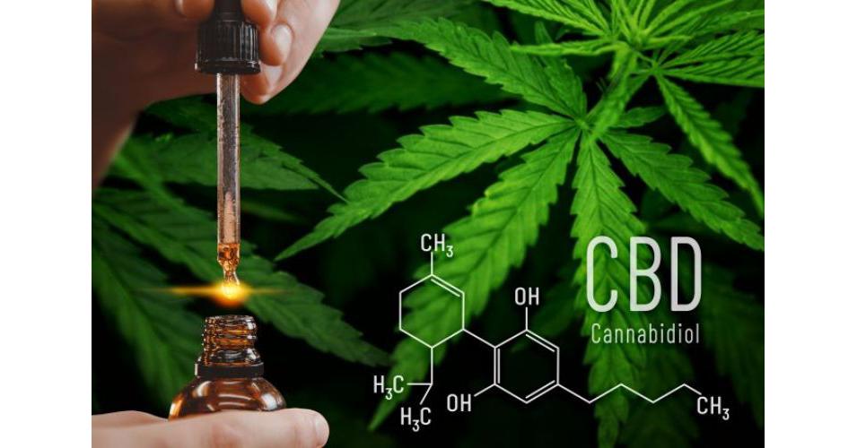 Cannabidiol (CBD) Consumer Health Market To Witness Astonishing Growth ...