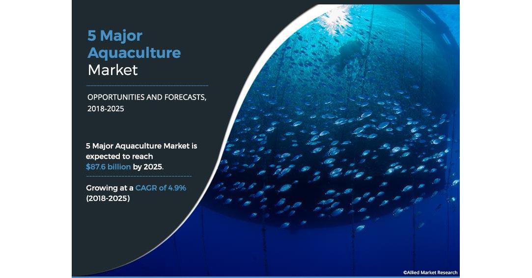 5 Major Aquaculture Market Size is Set to Reach $87.6 Billion | Blue ...