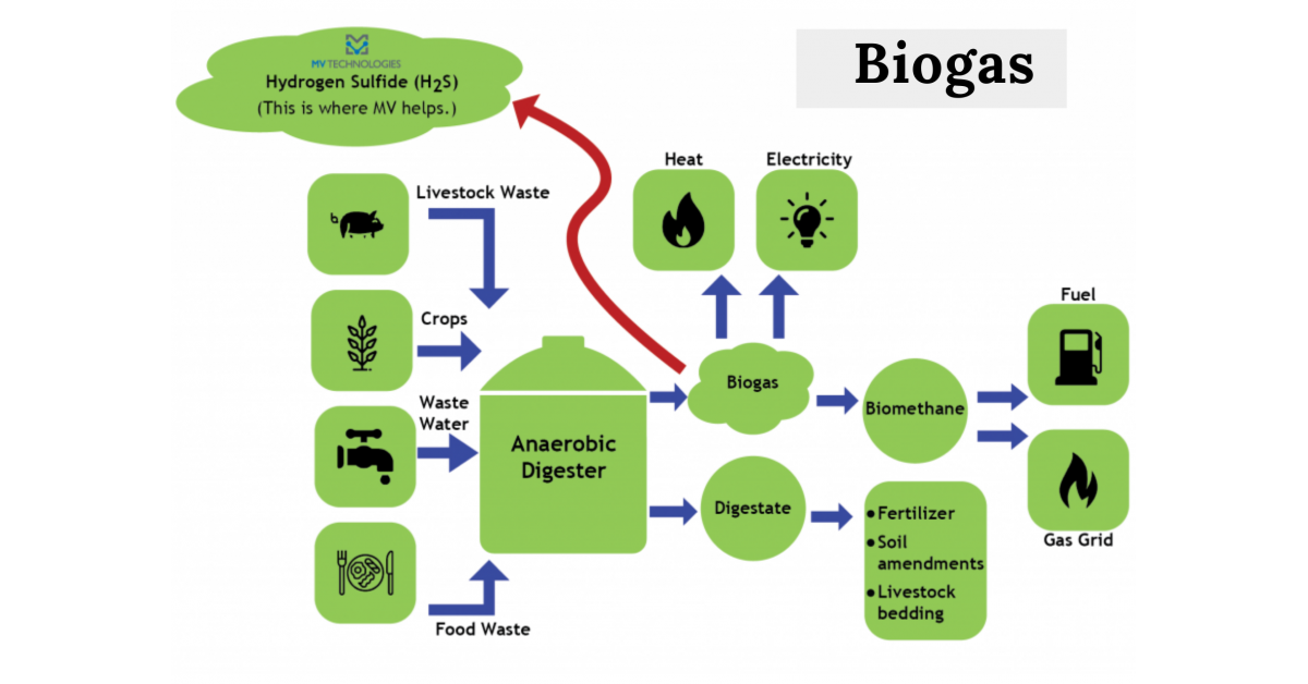 Biogas Market – Global Industry Analysis, Size, Share, Growth, Trends ...