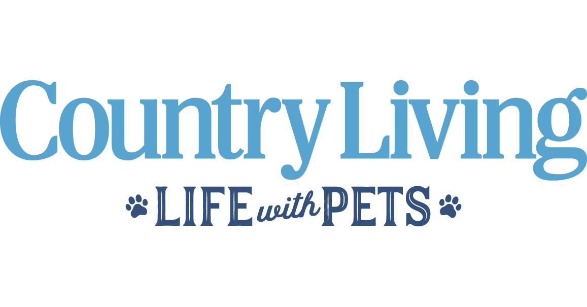 Country Living Magazine and JoJo Modern Pets Launch the All-New ...