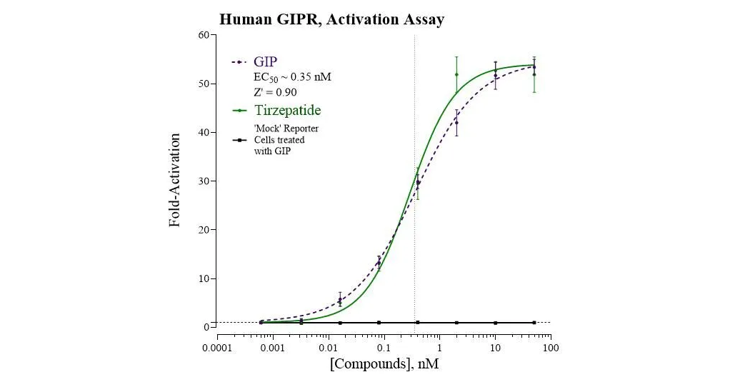 INDIGO Biosciences Releases Cell-Based Luciferase Reporter Assay for ...