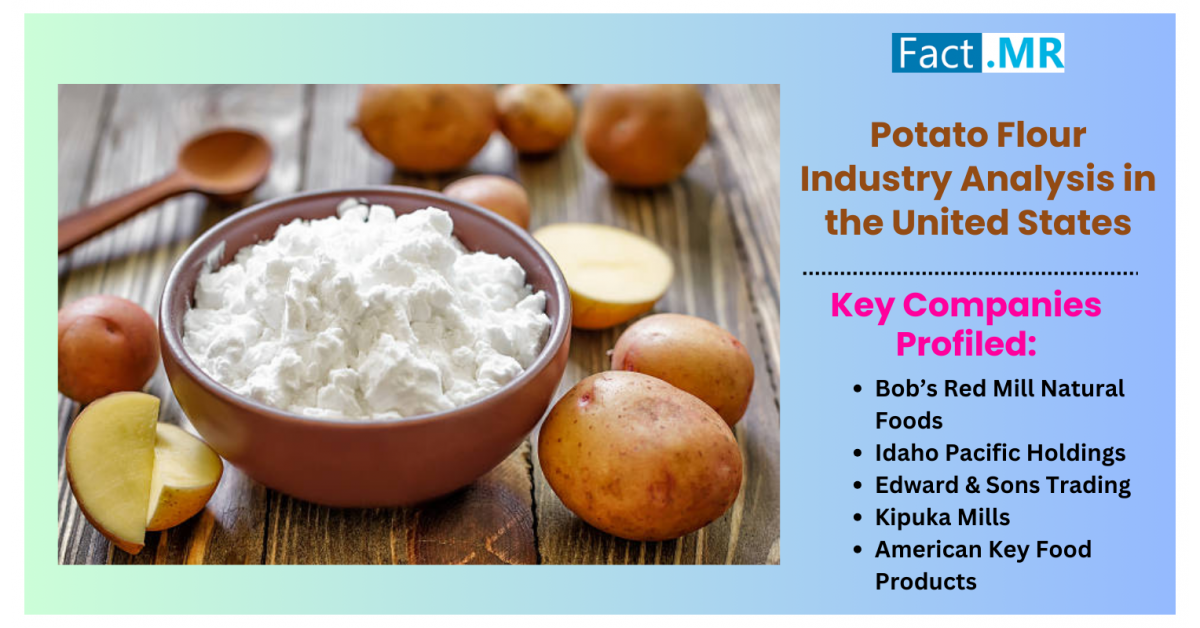 Potato Flour Industry Analysis in the United States for Remarkable Growth: Revenue to Reach $225.8 Million by 2034