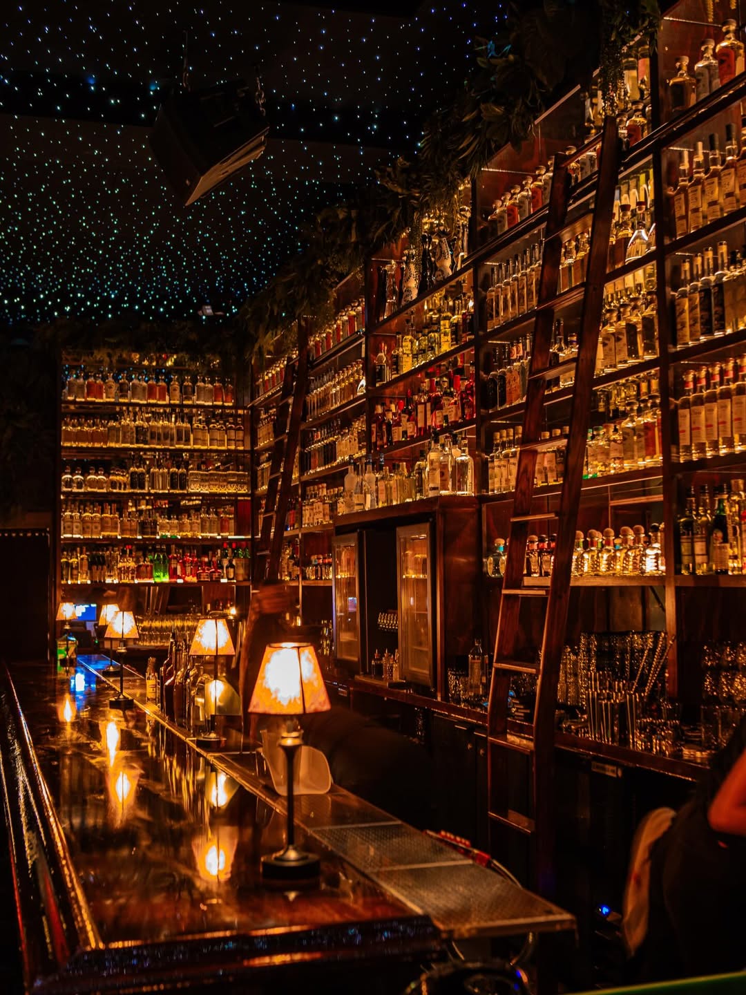 Impact Lighting Completes Fiber Optic Star Ceiling At Selva San Jose An Immersive Luxury Tequila Bar