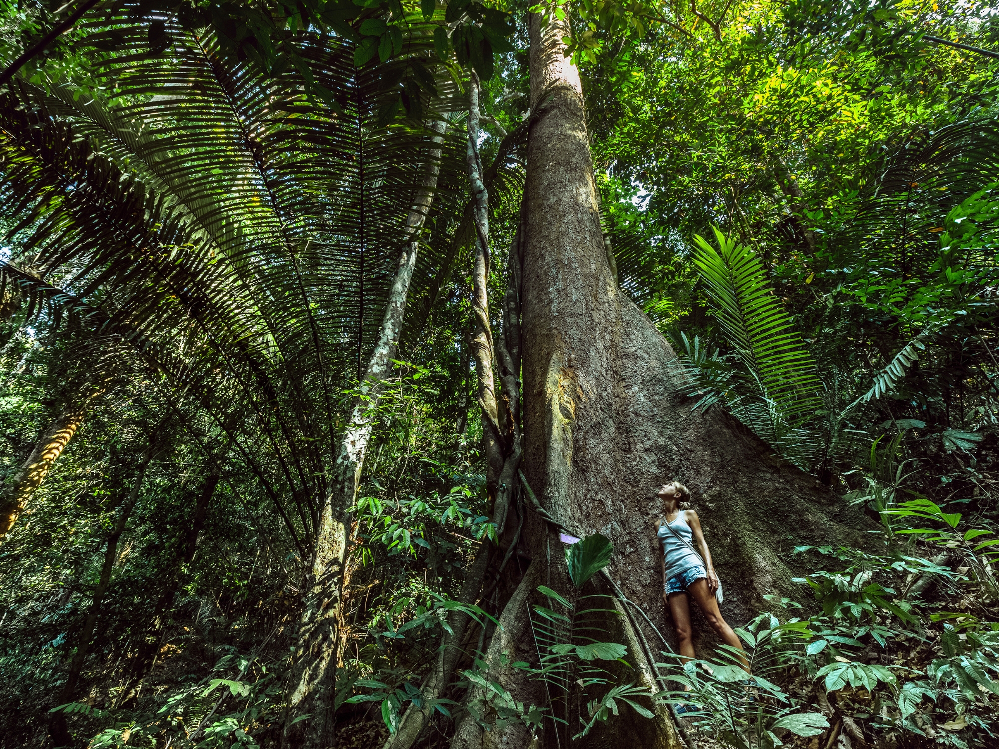 Why Brazil’s Remote Outdoors Are Becoming a Haven for Foreign Women