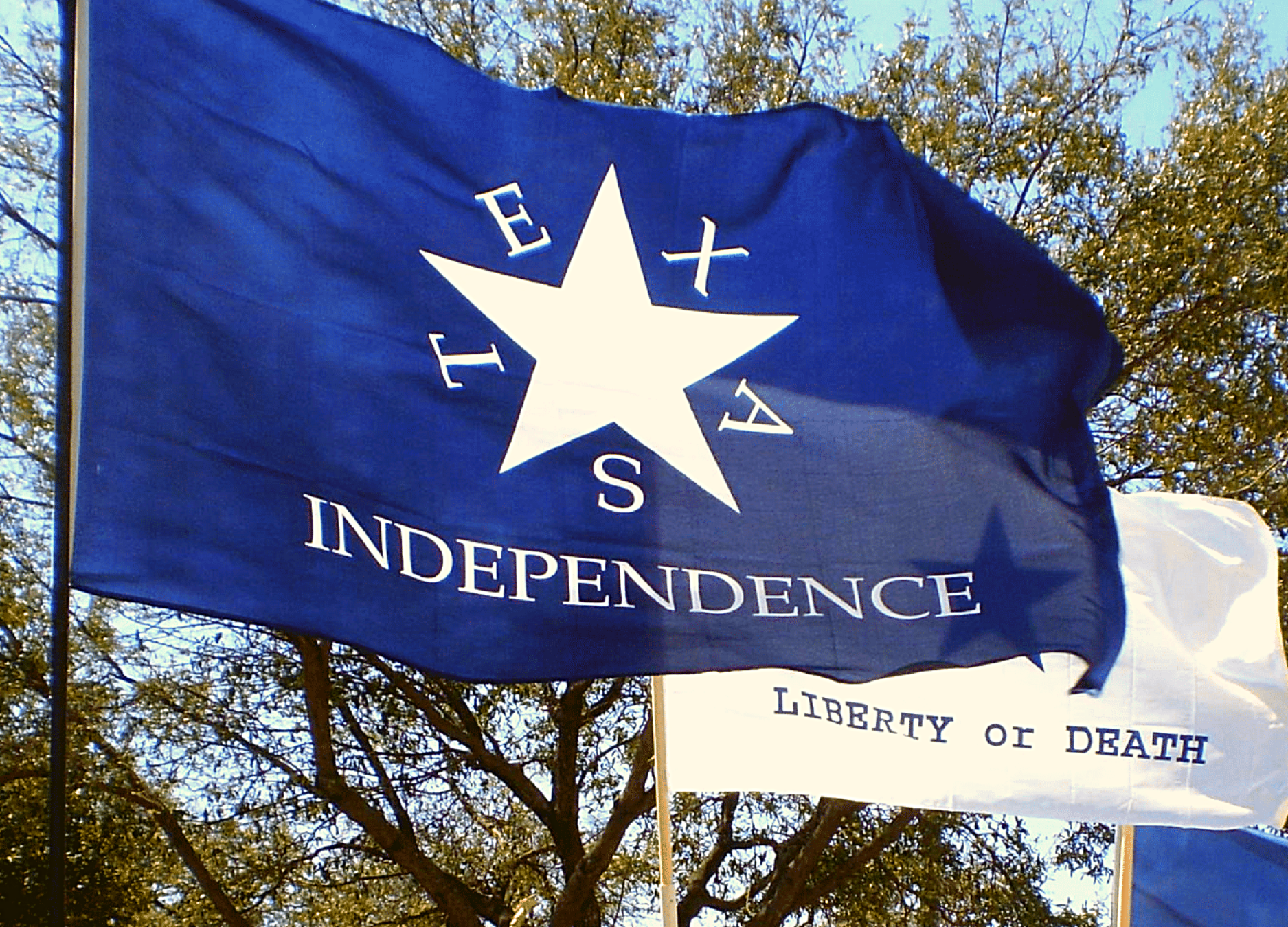 Техас хочет выйти из состава. "Texas nationalist Movement". Республика Техас. Флаг техасская независимая Республика. Texas Independence.