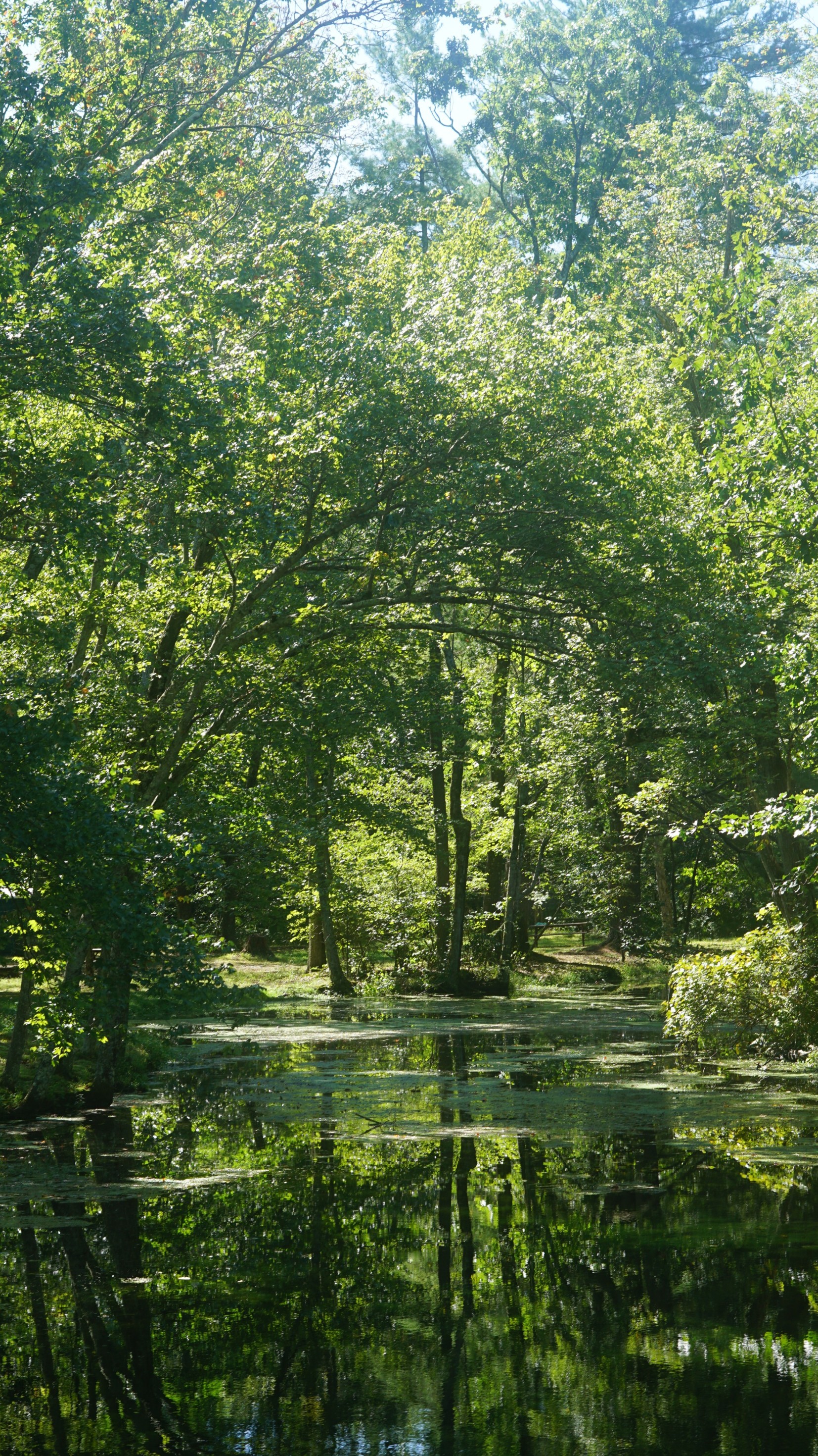 ‘Neversink River Resort’ Opens Near New York City Woodall's