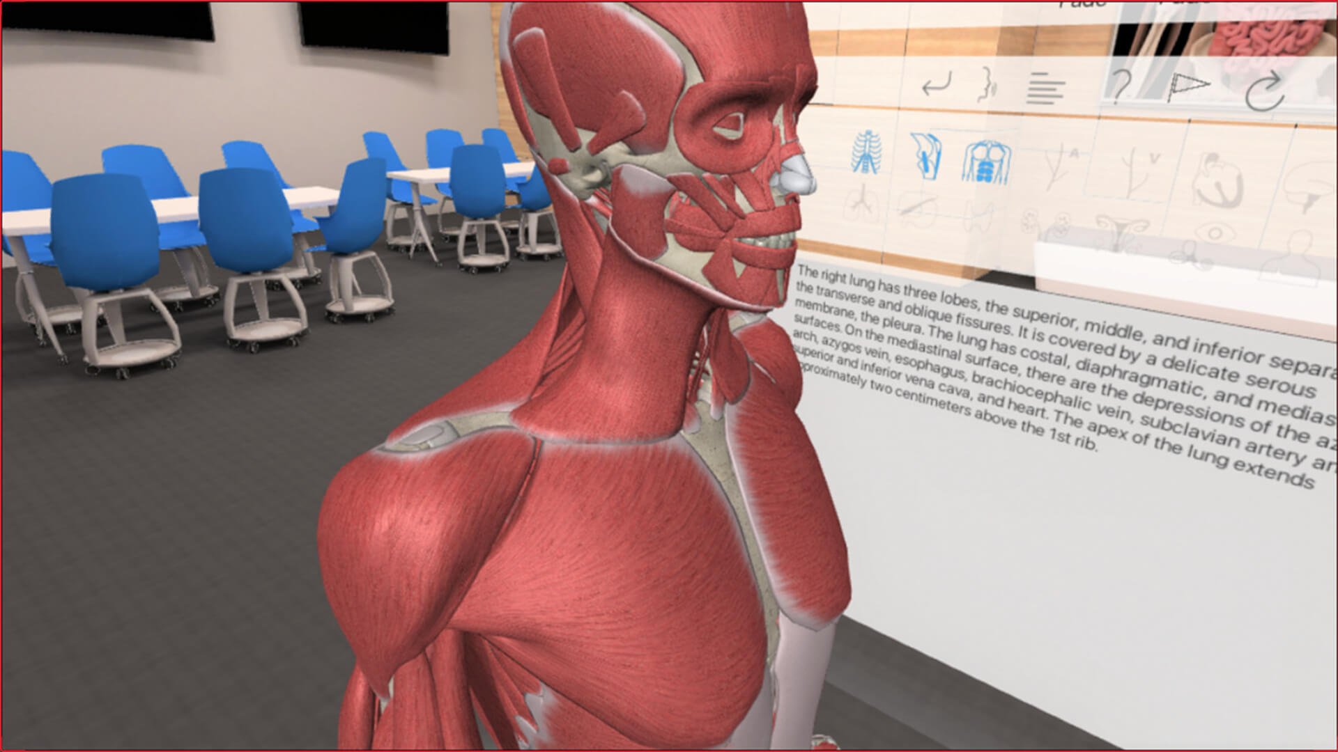 3д анатомия русский. 3d Organon VR Anatomy. 4. 3d Organon VR Anatomy. VR анатомия человека.