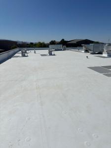 TPO commercial roof