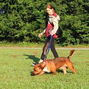 Kristen Dellinger, a professor at JSNN, with Monty, a resident of the SPCA of the Triad (now adopted), on his morning routine. Monty was among the dogs included in the study published in the Journal of Animal Health and Behavioural Sciences.