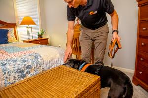 Rock Pest Control launches summer bed bug giveaway in Kansas City
