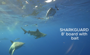 Now in Australia — Surfboards and Bodyboards with Integrated Magnetic ...