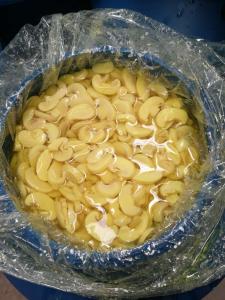 Nantong Elitex expands global supply of mushrooms and vegetables