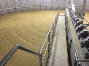 Awakened Grains teams with Proximity Malt to boost U.S. flour production