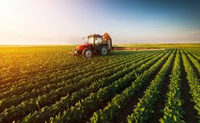 Agricultural Insurance Market