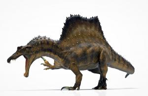 Spinosaurus reveals the hand talons it used to defend itself. (artist: Manuel Gil)
