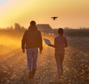 Drone Farming Consulting