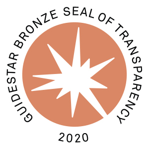 GuideStar Bronze Seal