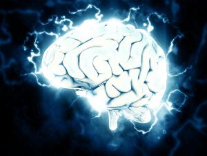 Graphic representation of the brain