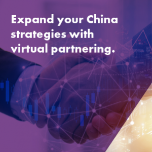 Virtual Partnering
