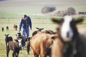 Croply Irish Goat Farmer Image