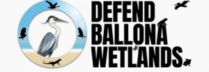 Defend Ballona Wetlands: environmentalists banding together to stop senseless habitat destruction.