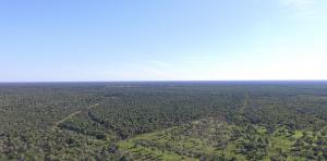 Largest REDD+ Project in the Paraguayan Chaco Now Underway