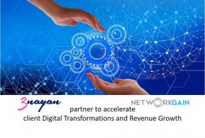 3Nayan and NetworkGain Partnership