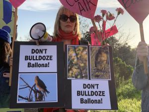 Molly Basler will lead protest against destroying LA's last coastal wetlands.
