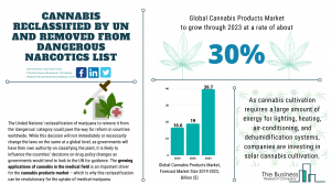 Cannabis Products Market Report 2020-30: Covid 19 Growth And Change