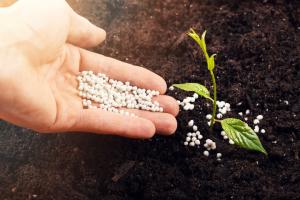 Fertilizer Additives Market