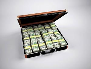 If you can find something, living or not, that exists as a single entity, you will win $1M from Vast Self Public Charity