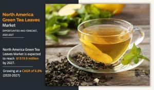 North America Green Tea Leaves Market