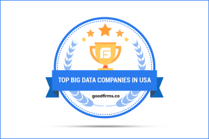 Top Big Data Companies in USA