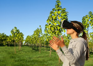 A woman uses Virtual Reality to visit a World Tree farm.
