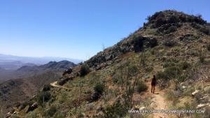 Hiking Trail in the Tucson Mountains