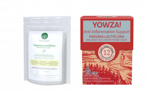 Paeonia lactiflora - White Peony Root - YOWZA Inflammation Support - Linden Botanicals