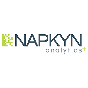Napkyn Analytics is a digital analytics consulting and engineering company