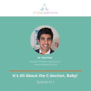 Dr. Neel T. Shah Episode 11 A Tribe Called Fertility Podcast